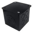 CAJA DERIVACION Hº 10X10X10 LIV. PINT - AGHDEL301