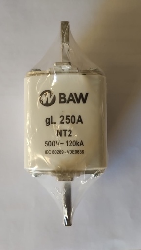 [616] FUSIBLE ACR NH T02 250A 500V-50HZ GL BAW - NT2250