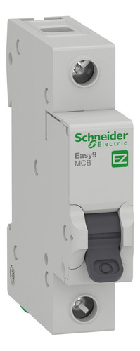 [9113] TERMICA 1X6A 4,5KA C SCHNEIDER - EZ9F34106