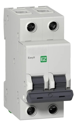 [9125] TERMICA 2X25A 4,5KA C SCHNEIDER - EZ9F34225