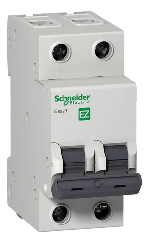 [9126] TERMICA 2X32A 4,5KA C SCHNEIDER - EZ9F34232